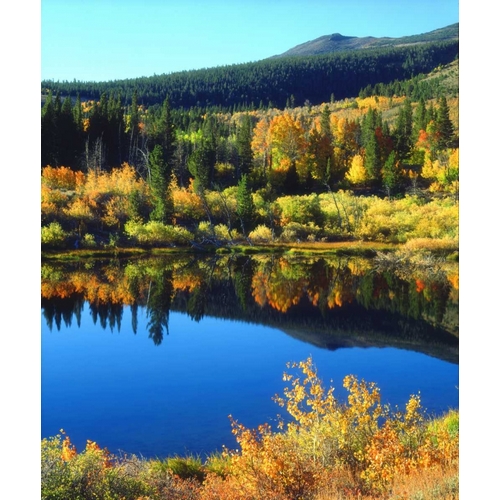 CA, Sierra Nevada Beaver Pond in autumn